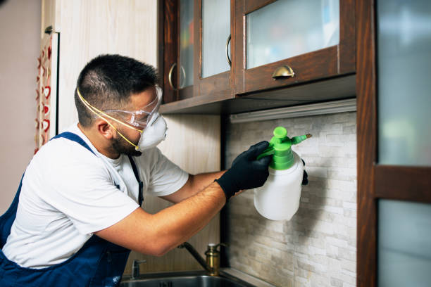 Best Pest Removal Services  in Pembroke Pines, FL