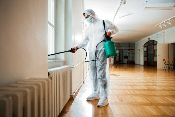 Best Flea Control Services  in Pembroke Pines, FL